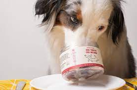 Maybe you would like to learn more about one of these? The 5 Best Cbd Oils For Dogs With Arthritis Discover Magazine