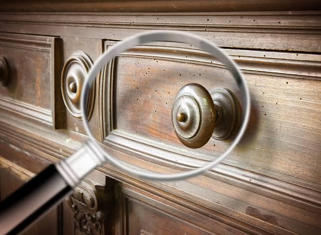 How To Treat Woodworm: 5 Questions - ESB Flooring