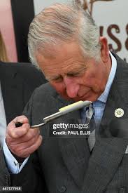 130 Charles Appleby Photos & High Res Pictures