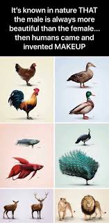 Actually Makeup Was Originally Made For Men But Society Changed It To Be For Men Funny Puns Jokes Wow Facts Funny Facts