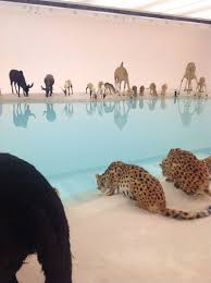 Cai Guo Qiang Wateringhole 99 Life Sized Replicas Of Various Animals Water Sand Gallery Of Modern Art Bri Gallery Of Modern Art Usa Art Installation Art