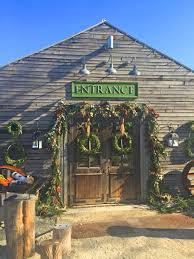 Terrain Glen Mills Pa Amazing Garden Center In The Brandywine Valley Gardening Home Outdoors T Pennsylvania Travel Travel And Tourism Brandywine Valley