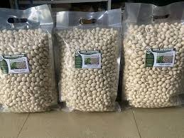 Image result for Canavalia ensiformis