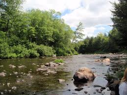 Northern Woods Of Maine Maine Outdoor Water