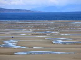 Tides And Treasures In Parksville Qualicum Beach Calgary