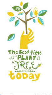 Drawing tutorials of tree plantation. Draw The Poster About Tree Plantation Brainly In