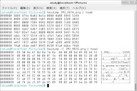Hexdump コマンド ファイルを8進数や16進数でダンプする Linux基本コマンドtips 253 It