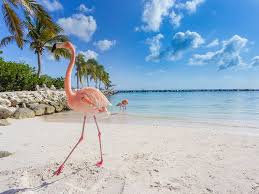 Maybe you would like to learn more about one of these? Most Famous Beaches In The World Popular Beaches Islands