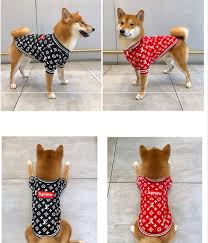 supreme ルイヴィトン 犬服 シャネル ブラント ペット用品 おしゃれまとめの人気アイデア pinterest 1125punky ペット服 ペット 犬