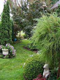 The sneetches read & play app is available for just 99 cents today! Reader Photos Dr Seuss Would Be A Fan Of This Plant Finegardening