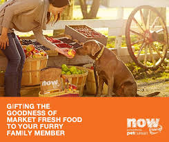 Fresh dog food recipes formulated by a veterinary nutritionist to provide your dog with healthy and he creates each nom nom recipe to the nutritional levels established by aafco food nutrient profiles. Now Fresh India Home Facebook