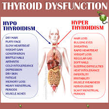 Pin By Angie Hall On My Evil Thyroid Thyroid Health Thyroid Disease Healthy Thyroid