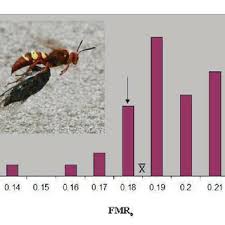 An ultrasonic repeller is a pest control option that doesn't use harmful chemicals or leave dead bugs on your floor. Pdf Near Optimal Foraging In The Pacific Cicada Killer Sphecius Convallis Patton Hymenoptera Crabronidae