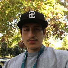 Do you use wing balls just for Pokémon that fly/float or for any Pokémon  that is at a farther distance? Just curious..