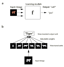 Is depth invariance achieved through familiarity with specific views or invariant primitives? Models Of Object Recognition Nature Neuroscience