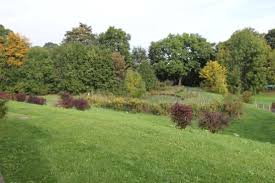 Rodewisch liegt im freistaat sachsen. 3 Zimmer Wohnung Zu Vermieten Steinbergblick 18 08228 Rodewisch Vogtlandkreis Mapio Net