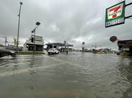 7/19 高雄市區多地淹水，39 歲高女步行一處淹水路段，緩步路過路燈、變電箱旁時，突遭電擊，失去呼吸心跳倒地。 高女送醫恢復心跳，透過葉克膜續命，命危多日，今日不治死亡。 直到目前，高市府與台電都還沒查出，到底高女是被變電箱、路燈還是停車場欄杆電擊。 Dbmmrciinocnum