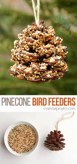 Making a pine cone bird feeder is so simple that even young children can make it easily. How To Make Pinecone Bird Feeders One Little Project