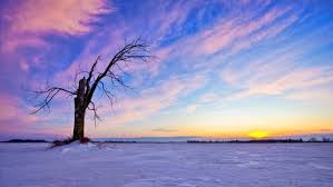 Free 4k background stock video footage licensed under creative commons, open source, and more! Aesthetic Landscape Hd Wallpapers 1080p 4k 36494 Background Landscape Aesthetic Sky 1080x675 Download Hd Wallpaper Wallpapertip