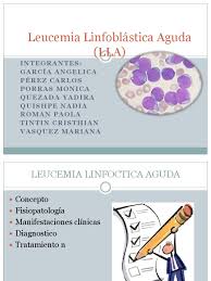 Leucemia Linfoblastica Aguda Grupo 4 Leucemia Sistema Inmune