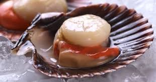 Coquilles Saint Jacques Pronunciation Food Recipes Chowhound