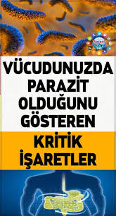 Vucudunuzda Parazit Oldugunu Gosteren Kritik Isaretler Parazitlerden Kurtulmak Icin Ne Yapmali Saglik Saglik Urunleri Saglik Ipuclari