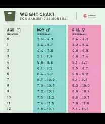 wat should b d ideal weight for a 8 months old baby my