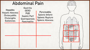 You might experience tenderness and sharp pain on the right side of your chest wall if you strain one of your intercostal muscles. Abdominal Pain Causes And Anatomy Right Vs Left Male Vs Female Upper Stomach Quadrants Ezmed