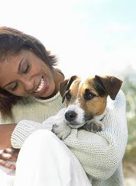 Terrier Photos for Sale