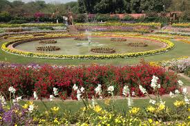 Maybe you would like to learn more about one of these? Udyanotsav 2018 To Be Held In Mughal Gardens Of Rashtrapati Bhavan Feb 6 Onwards Times Of India Travel