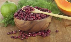 We did not find results for: Lá»£i Ich Cá»§a Ä'áº­u Ä'á» Khiáº¿n Báº¡n Pháº£i Ngáº¡c Nhien Hello Bacsi