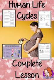 Human Life Cycles Complete Science Lesson This Download Is A Complete Lesson On The Human Life Cycle This Hum Human Life Cycle Science Lessons Life Cycles