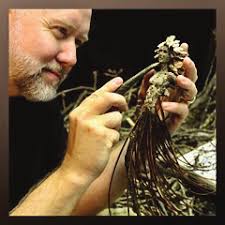 2024 Mosaics Artists