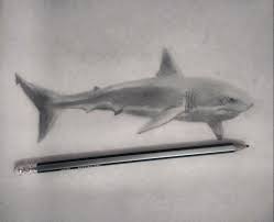 ¡haz una carrera con estos dibujos de béisbol! Tiburon Realista A Mano A Lapiz Dibujos Realistas Animales Dibujos