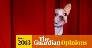 He was born on july three, two thoasand and eight. If You Buy A French Bulldog Be Sure To Meet Its Mother Dogs The Guardian
