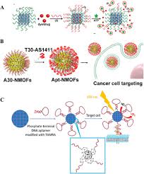 Image result for Modified Apt Test