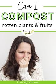 Not always, according to the usda. Can I Compost Rotten Plants Fruits In 2021 Gardening Trends Compost How To Make Compost