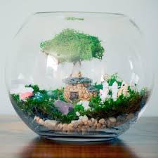 Diy Terrarium Kit Diy Terrarium Starter Kit Diy Terrarium Etsy