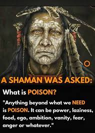 Seekers of truth and wisdom, I share my thoughts with you you today as a  humble servant of the natural world, ready to share a shamanistic  perspective