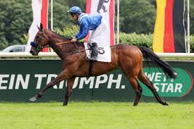 Porno ercilia micarelli not what I had imagined personally