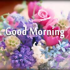 good morning photo के लिए इमेज परिणाम