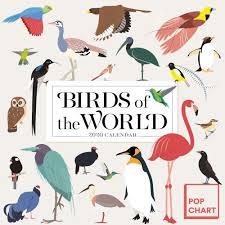 Birds Pop Chart 2020 Wall Calendar