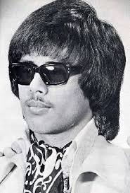 Seventies Men Hair Style