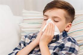 حشرة الفراش تتغذى على جلدك الميت وتسبب هذه المشكلات الكونسلتو