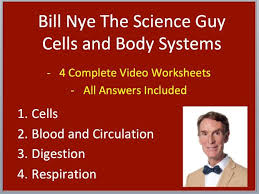 With worksheets(sheet1).cells.font.name = arial.size = 8endwith. Bill Nye Video Worksheets Four Biology Cells And Body Systems Bundle Teaching Resources