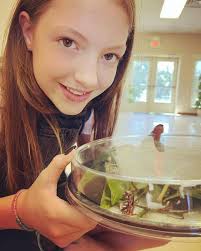 The Loganville Makers Studio