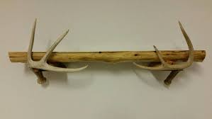 See more ideas about antlers decor, deer antlers, antlers. Red Cedar Shelf With Shed Antlers Made From Old Fence Posts Love It Antler Crafts Deer Antler Crafts Antlers Decor