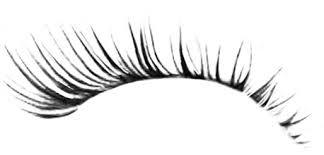 You can also click related recommendations to view more background images. Transparent Realistic Eyelashes Png Novocom Top