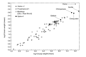 Ape Evolution Chart Evoloution Chart Homo Evolution Chart