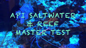 How To Test A Saltwater Reef Tank Using Api Test Kit Youtube